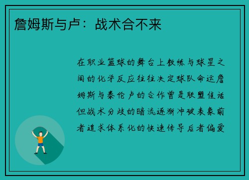 詹姆斯与卢：战术合不来
